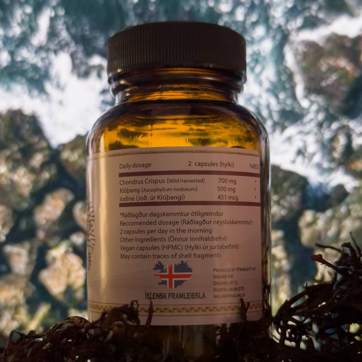 ICELANDIC WILD HARVESTED SEA MOSS - Fjörugrös