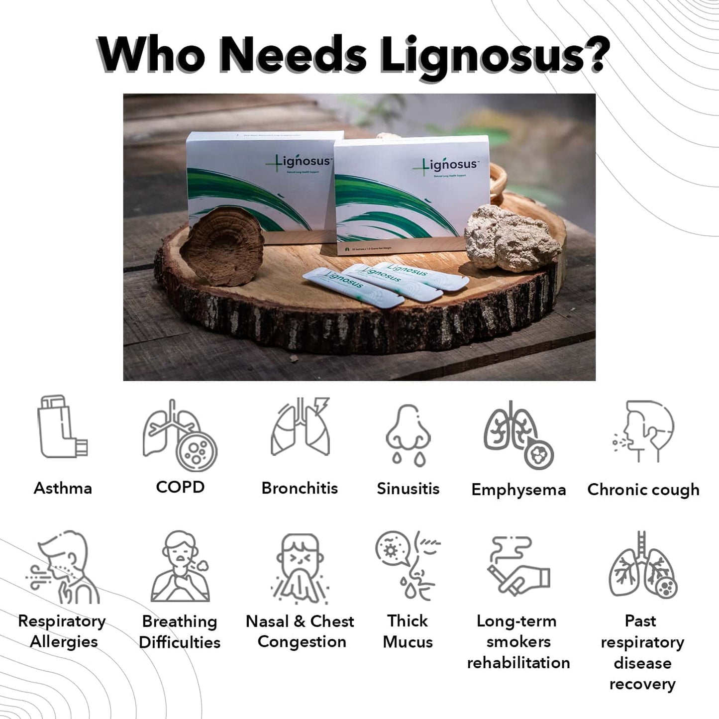 Lignosus - Lífrænn Tiger's Milk Sveppur