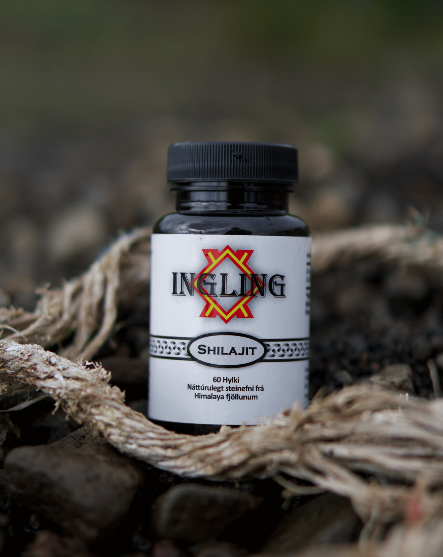 Hugarpakkinn Shilajit og Lion’s Mane