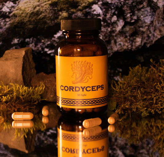 Cordyceps