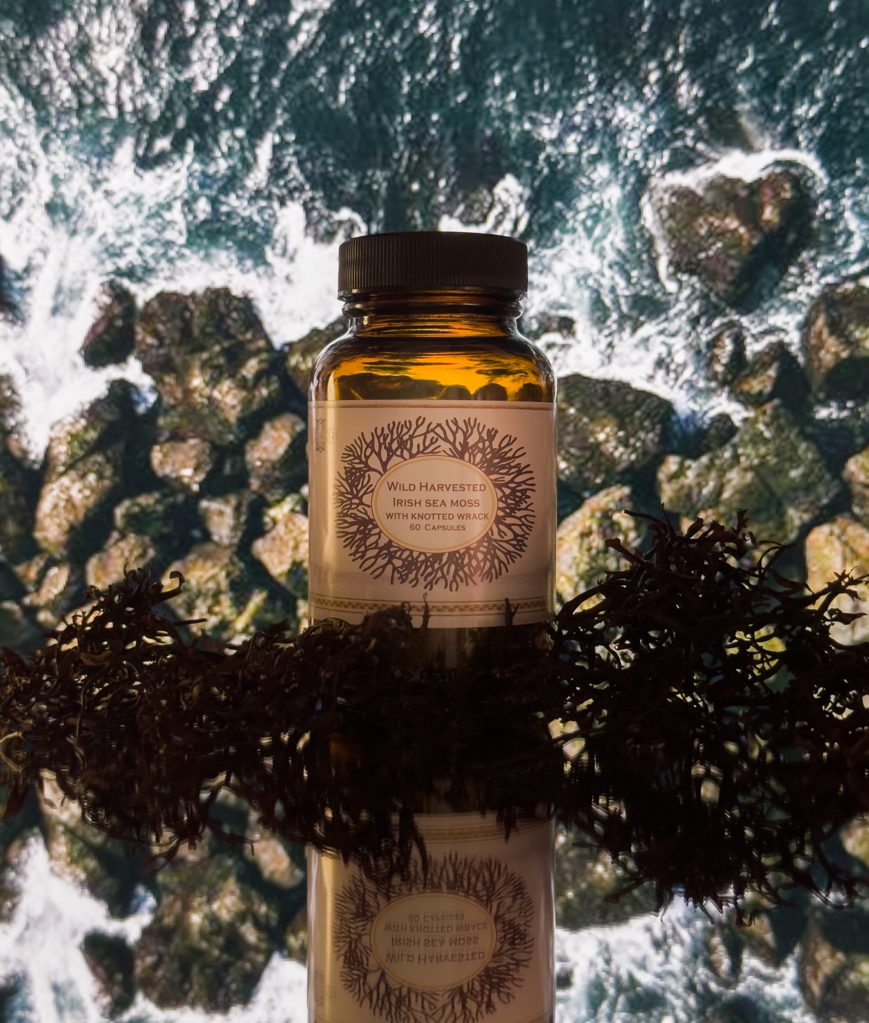 ICELANDIC WILD HARVESTED SEA MOSS - Fjörugrös