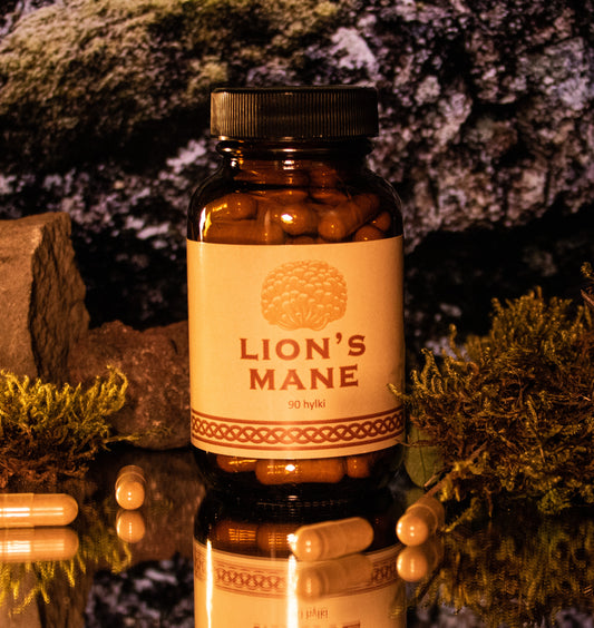 Lion’s Mane