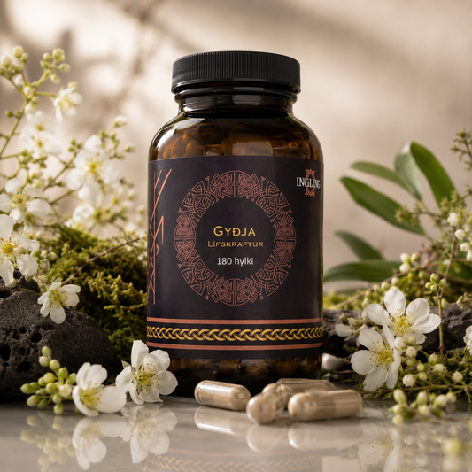 Gyðja – PDP Test