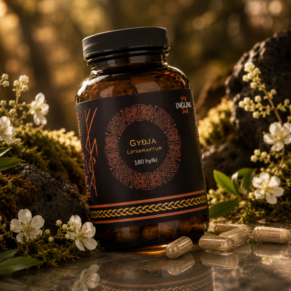Gyðja – PDP Test