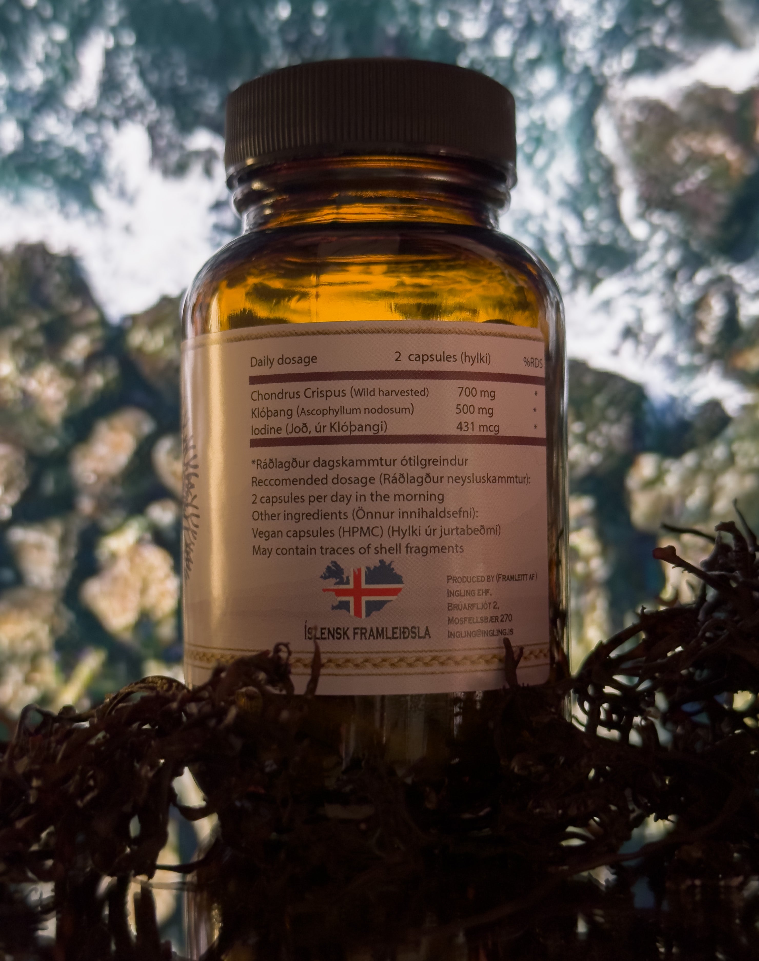 ICELANDIC WILD HARVESTED SEA MOSS - Fjörugrös