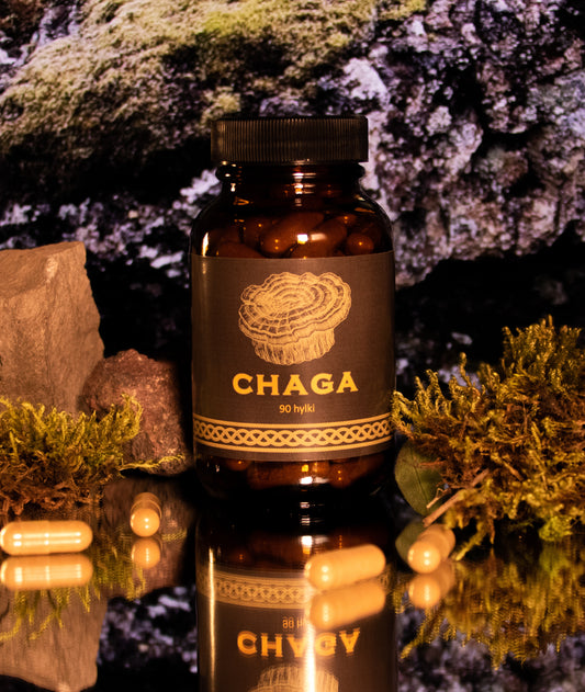 Lífvænt Chaga