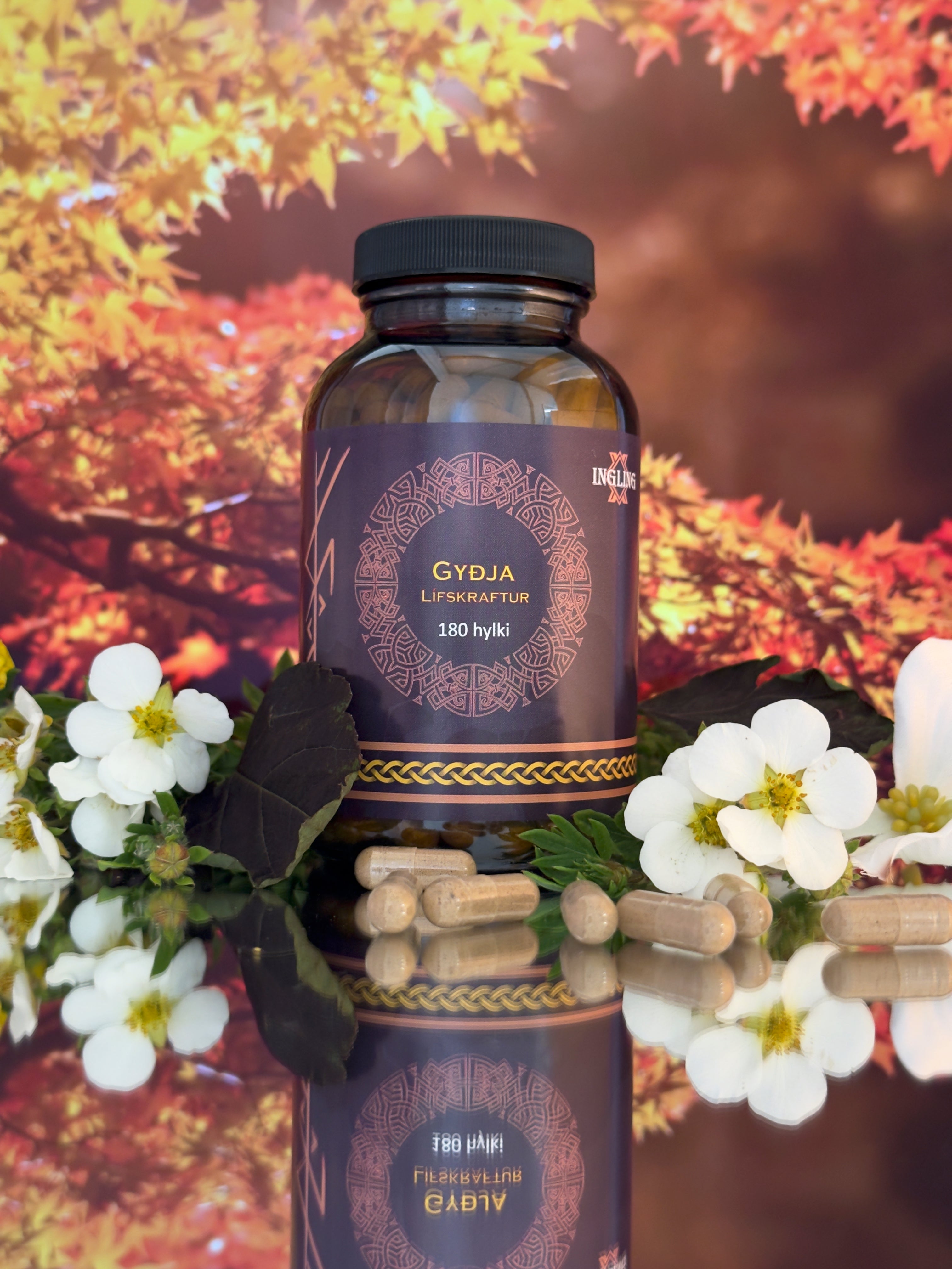 Gyðja - Lífskraftur