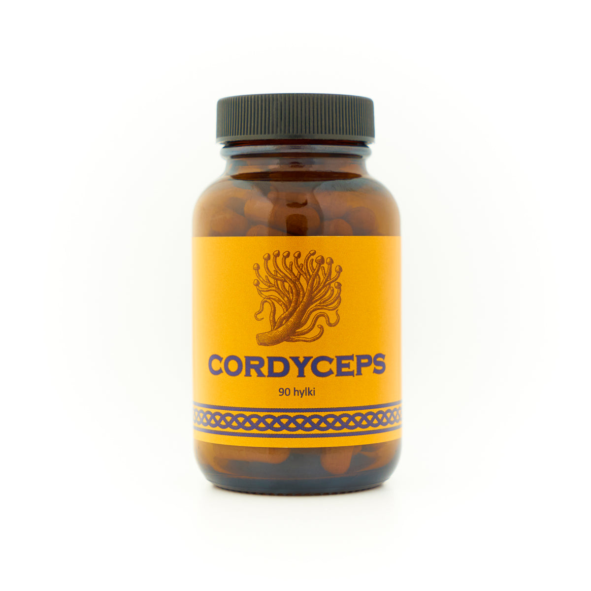 Cordyceps
