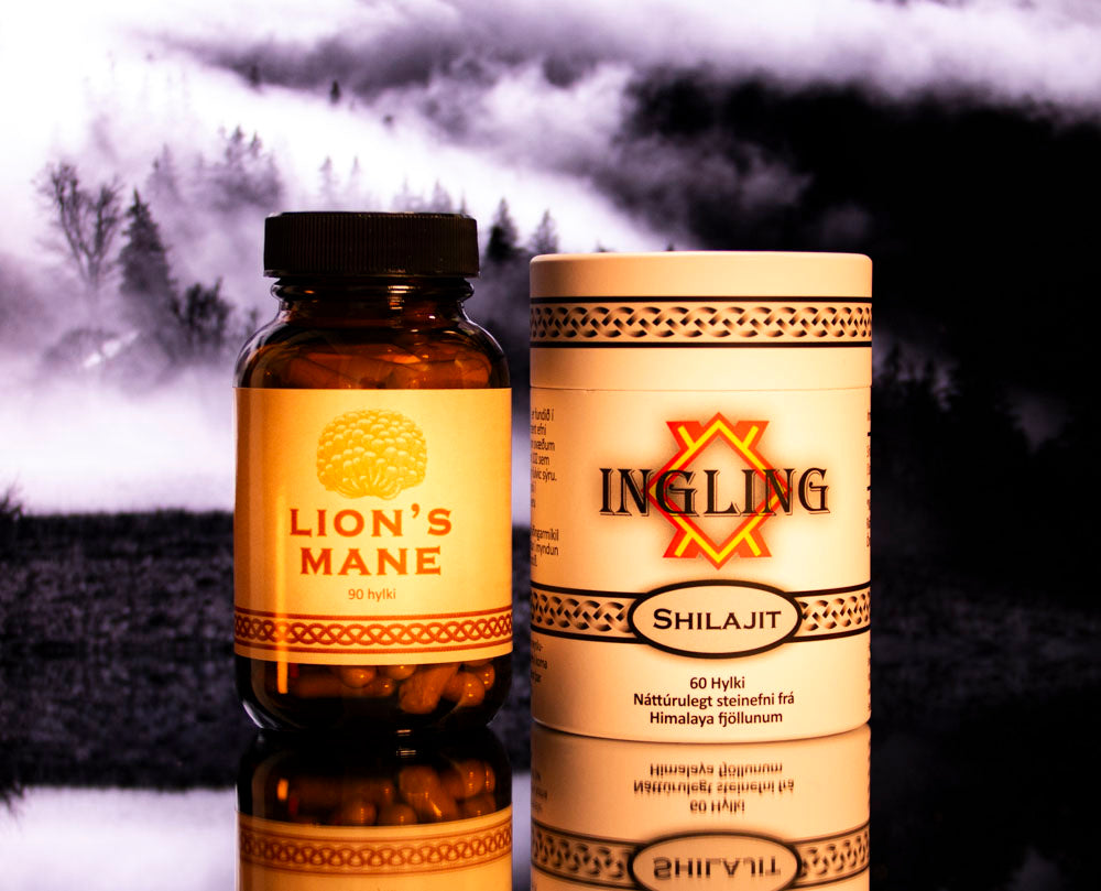 Hugarpakkinn Shilajit og Lion’s Mane