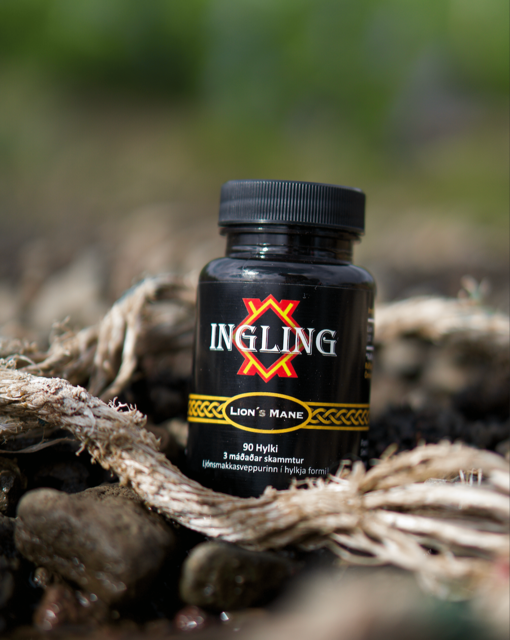 Hugarpakkinn Shilajit og Lion’s Mane