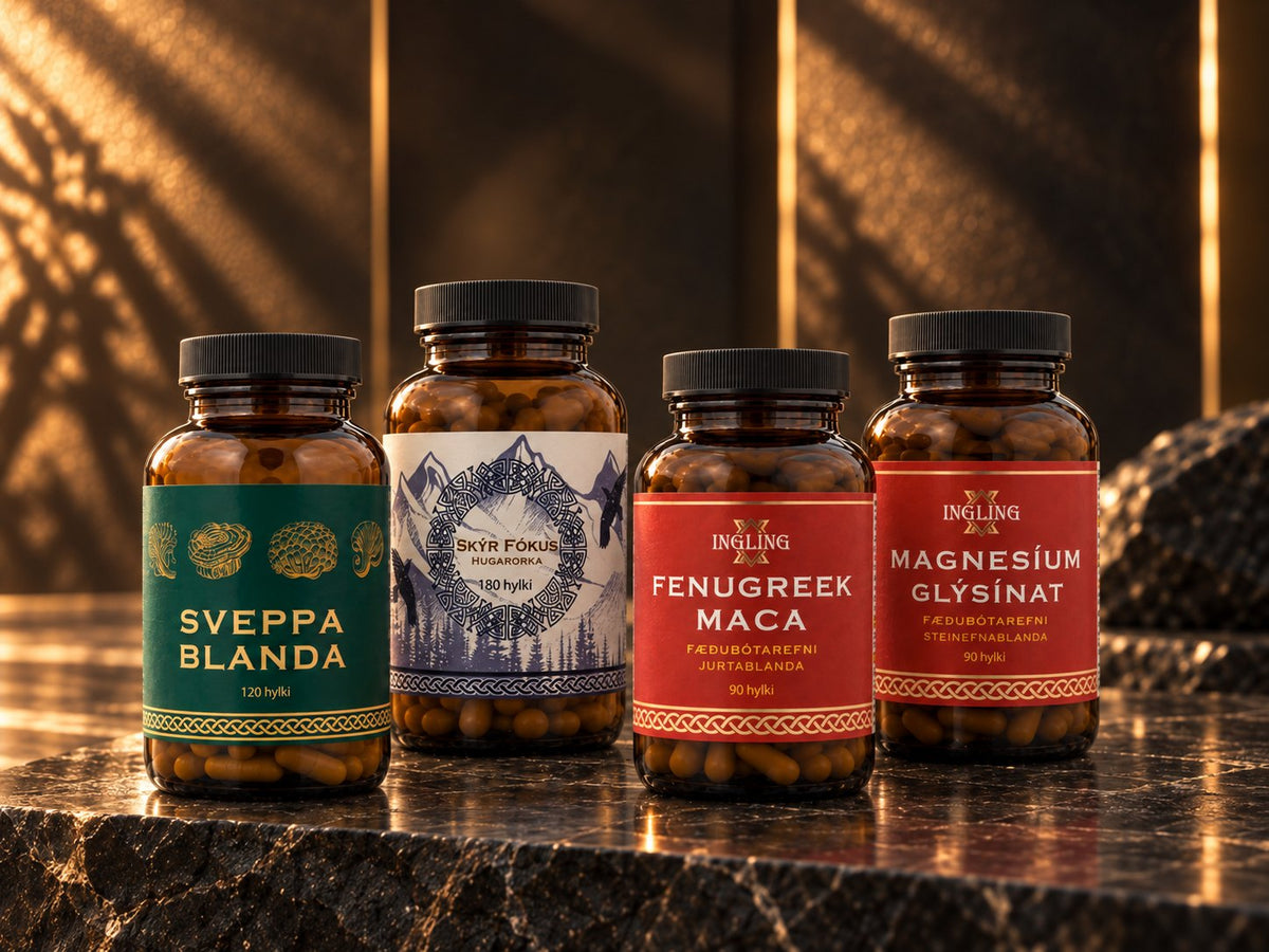 Sveppablanda, Skýr Fókus, Fenugreek maca og Magnesíum glýsínat frá Ingling
